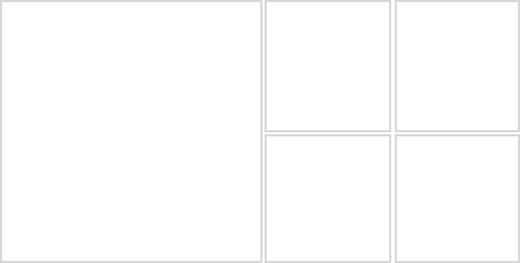 プラファーム・ウェットタ