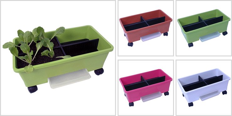 野菜畑オーガニック